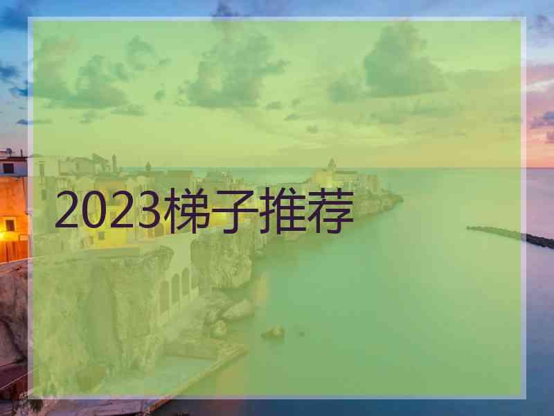 2023梯子推荐