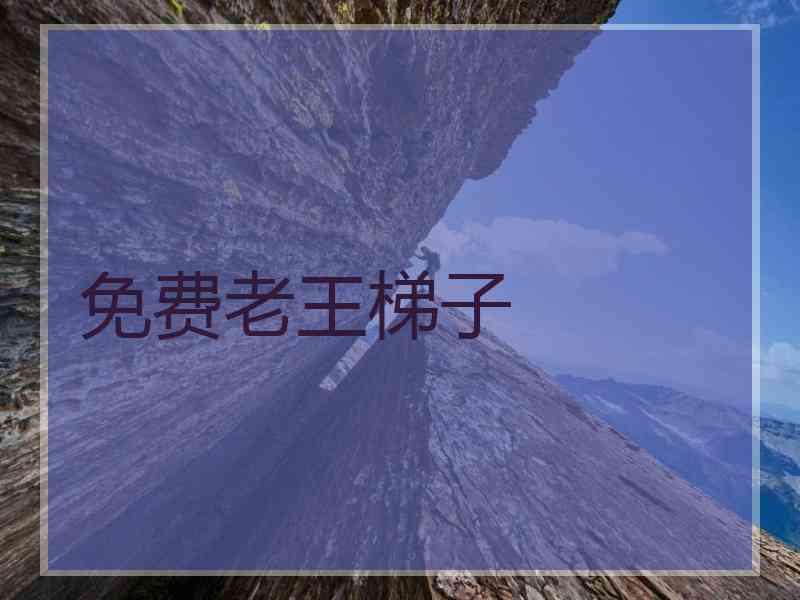 免费老王梯子