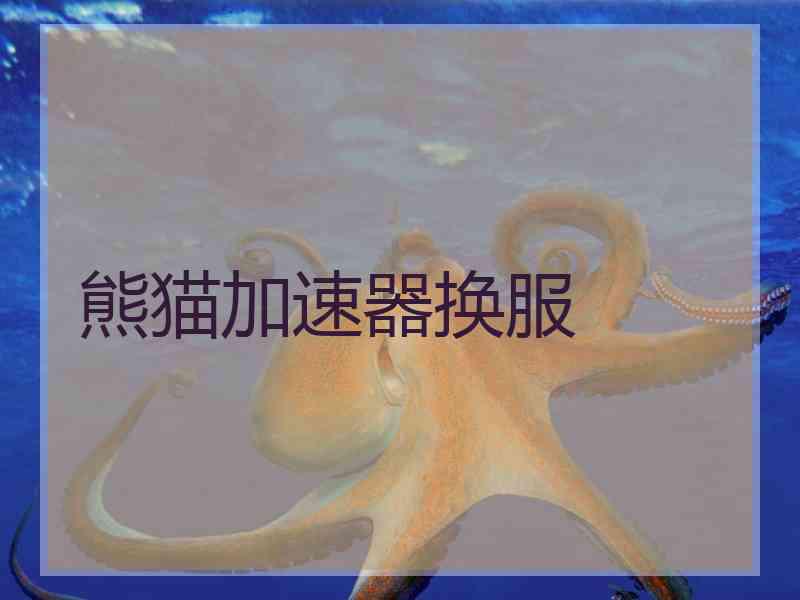 熊猫加速器换服