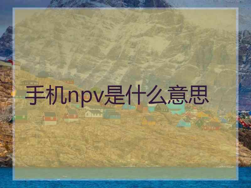 手机npv是什么意思