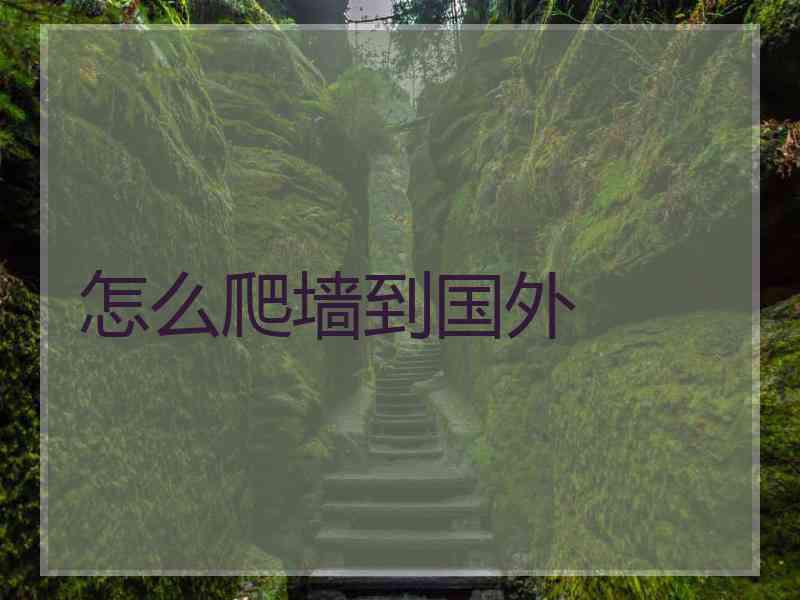怎么爬墙到国外