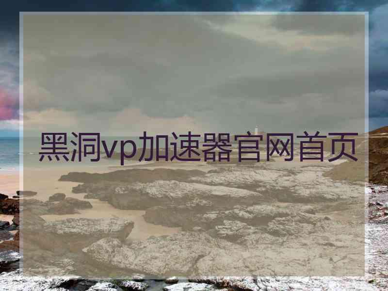 黑洞vp加速器官网首页