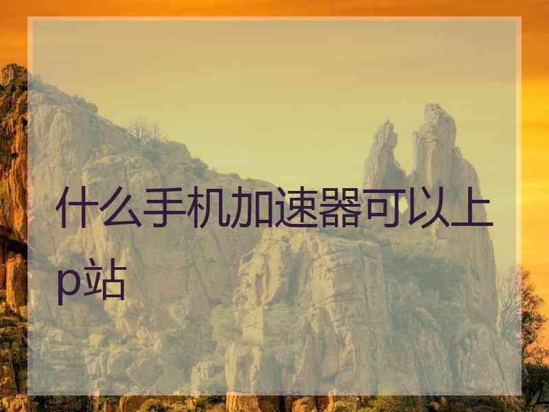 什么手机加速器可以上p站