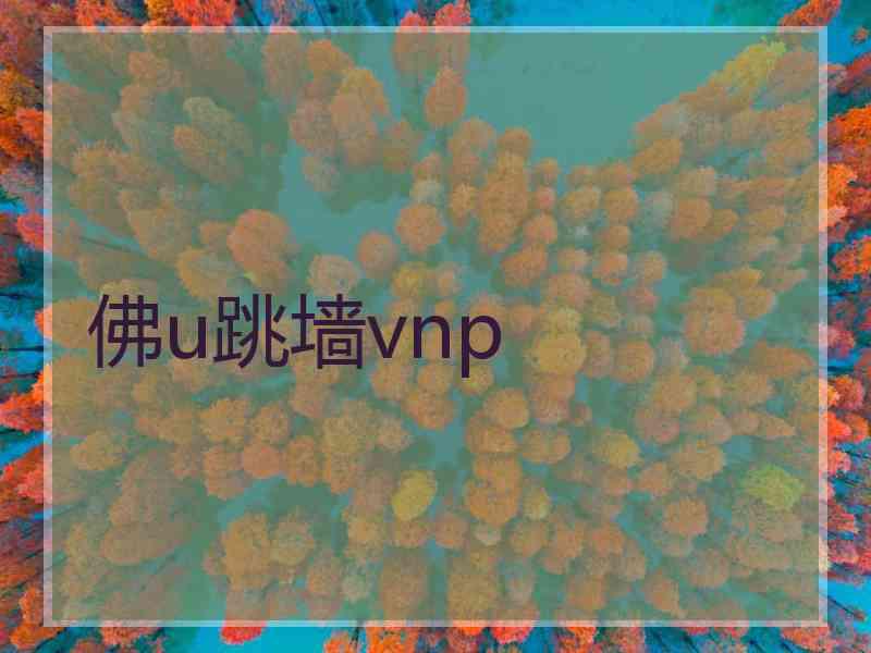 佛u跳墙vnp