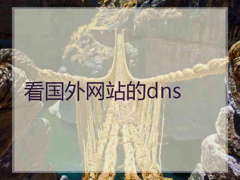 看国外网站的dns