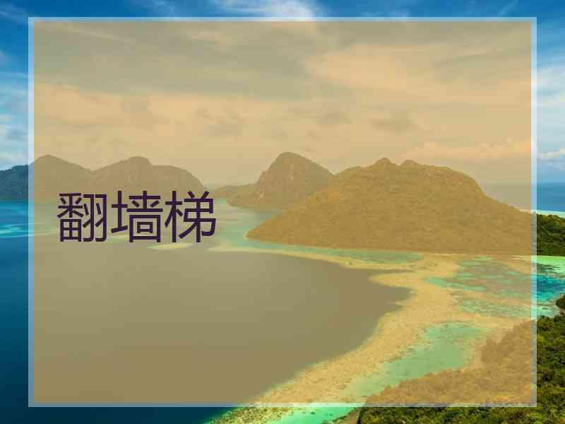翻墙梯