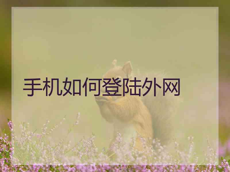 手机如何登陆外网