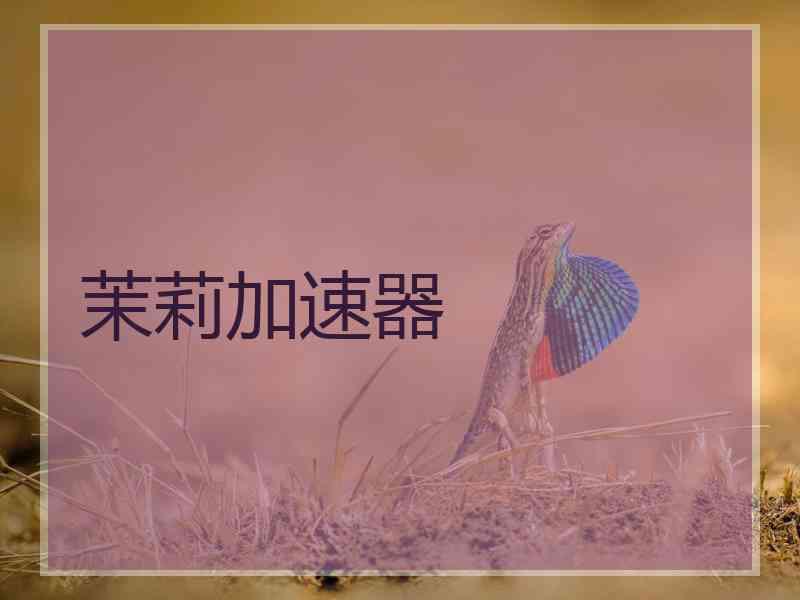 茉莉加速器