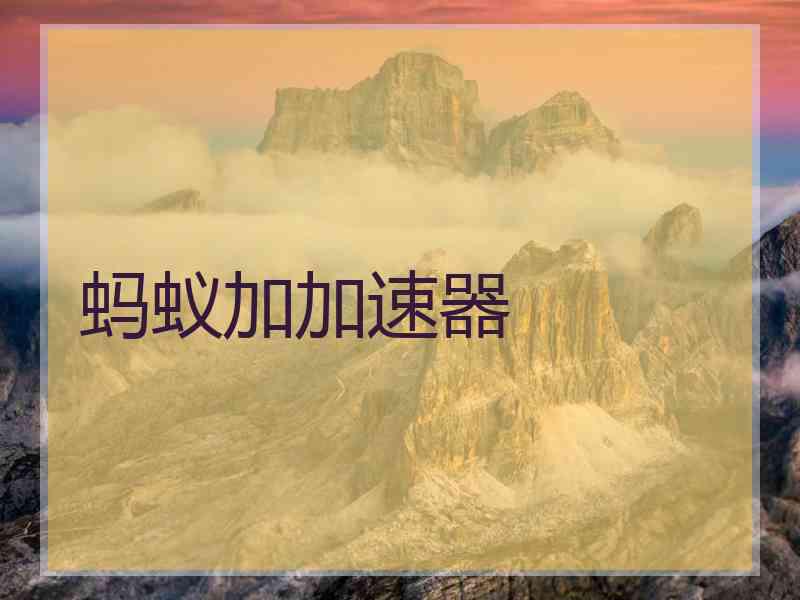 蚂蚁加加速器