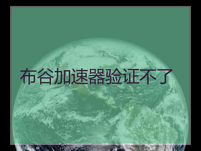 布谷加速器验证不了