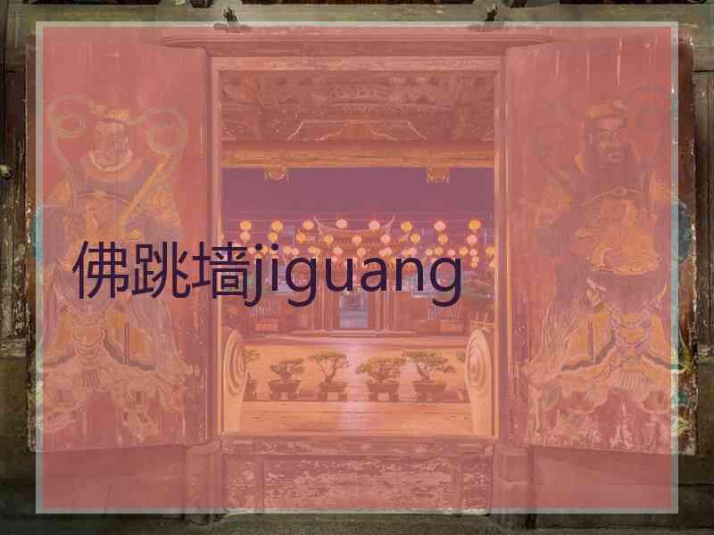 佛跳墙jiguang