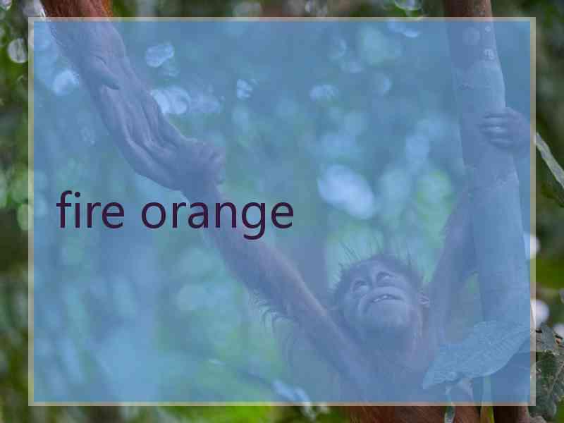 fire orange