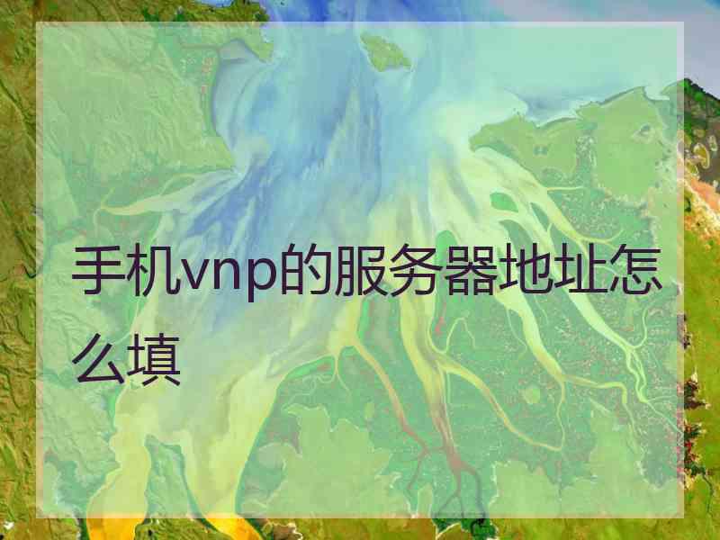 手机vnp的服务器地址怎么填