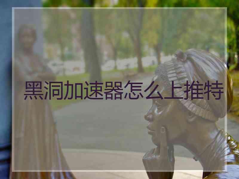 黑洞加速器怎么上推特