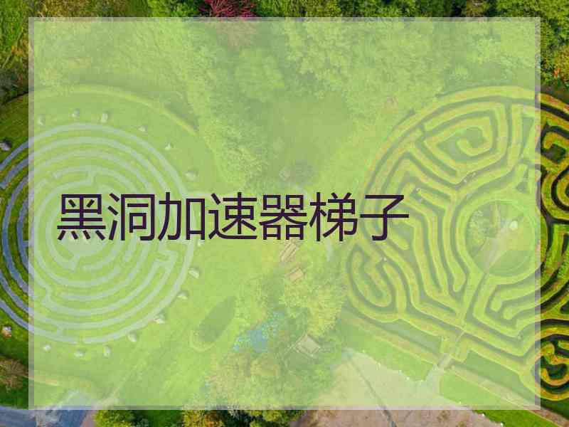 黑洞加速器梯子