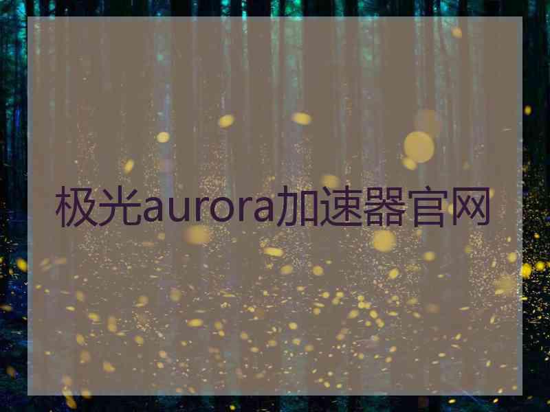 极光aurora加速器官网