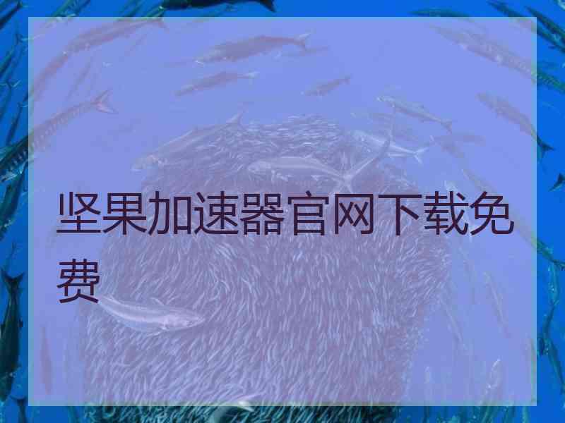坚果加速器官网下载免费