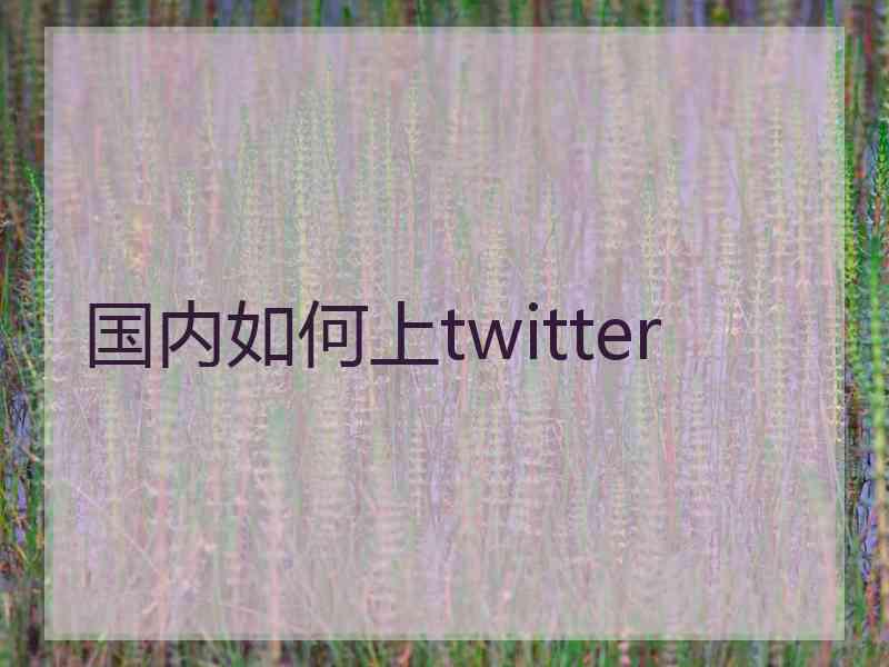 国内如何上twitter