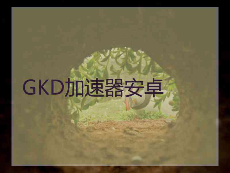 GKD加速器安卓