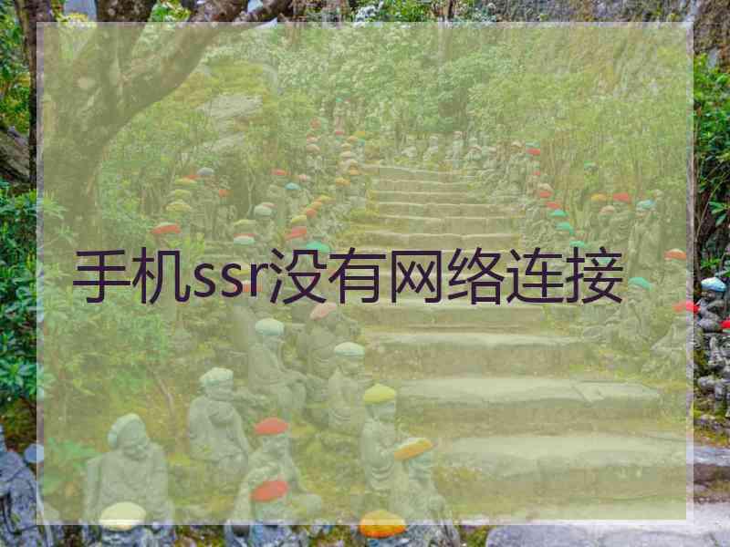 手机ssr没有网络连接