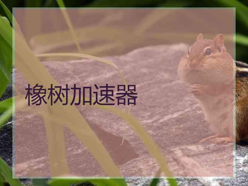 橡树加速器