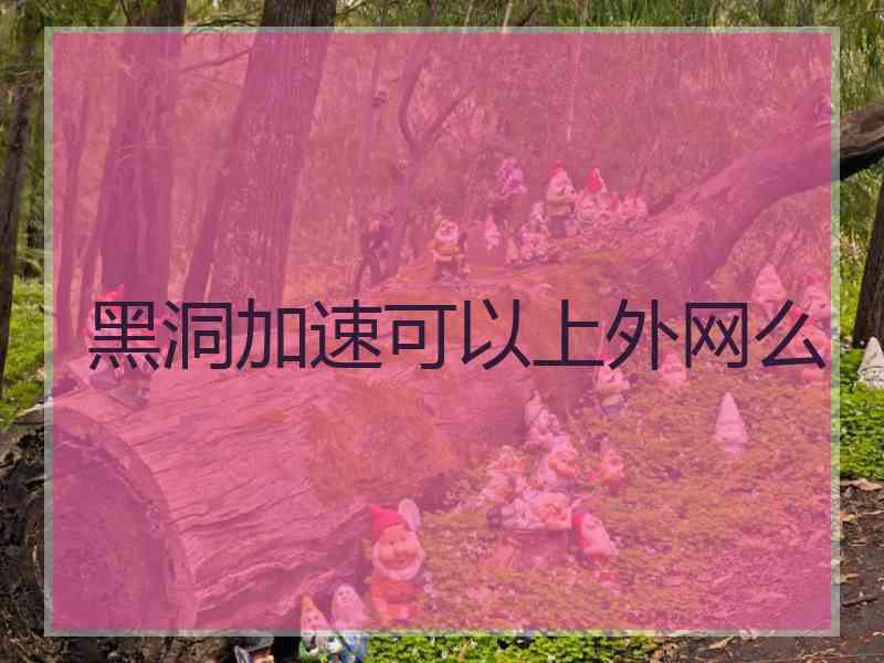 黑洞加速可以上外网么