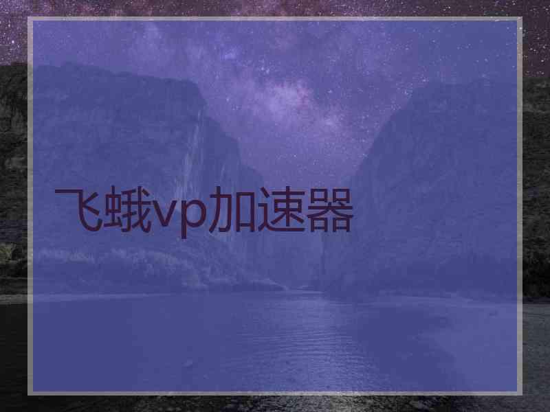 飞蛾vp加速器