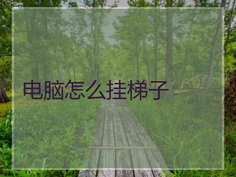 电脑怎么挂梯子