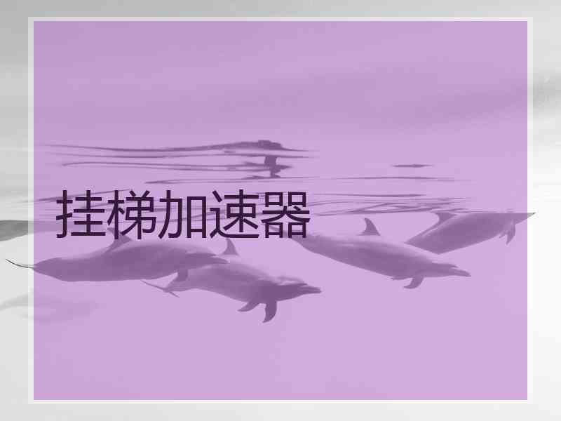 挂梯加速器