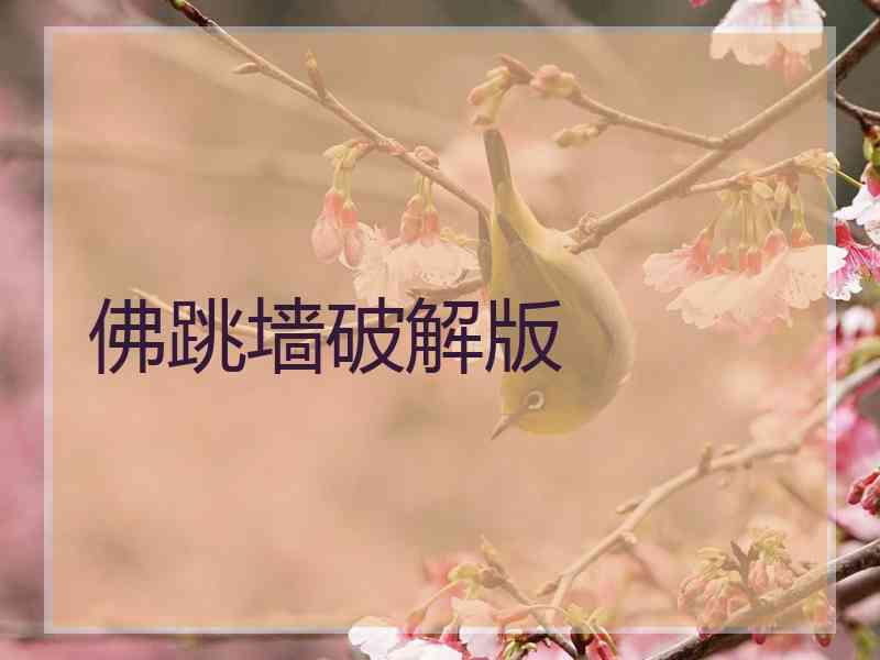 佛跳墙破解版