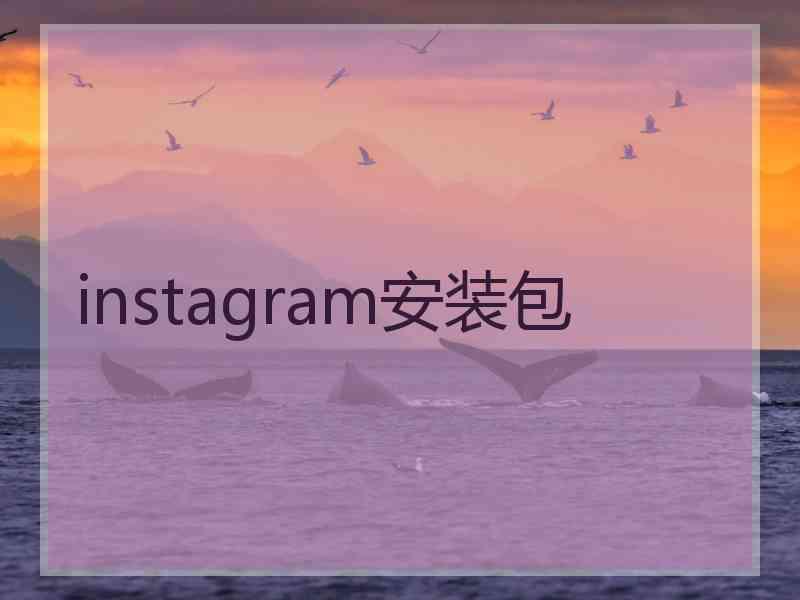 instagram安装包