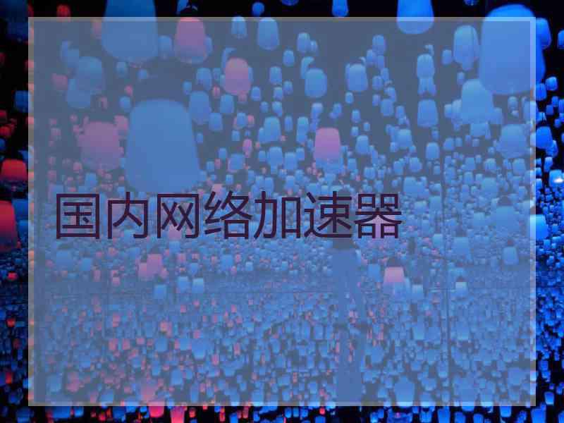 国内网络加速器