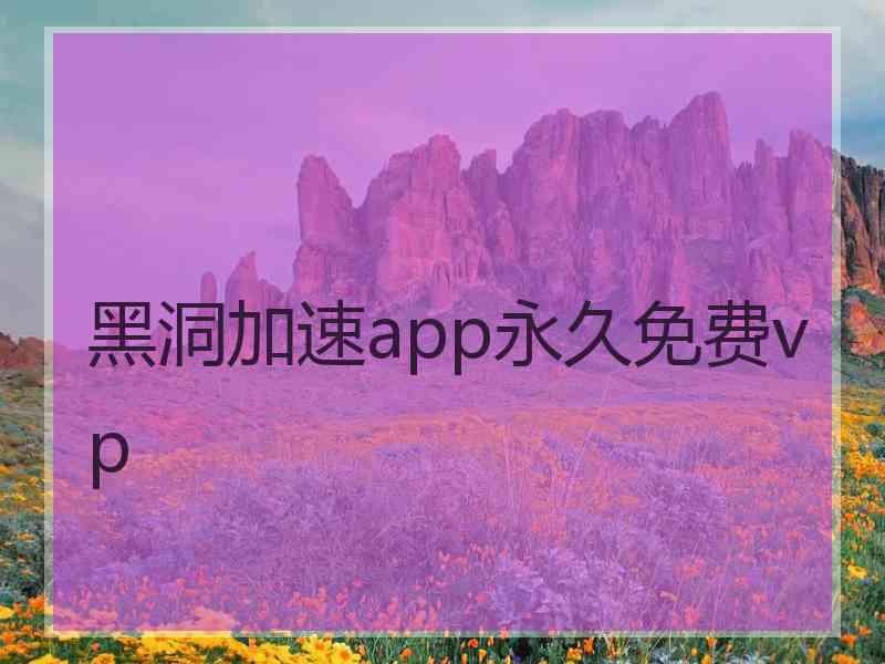黑洞加速app永久免费vp