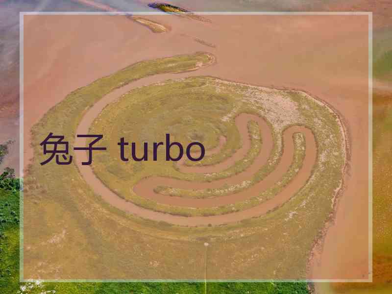 兔子 turbo