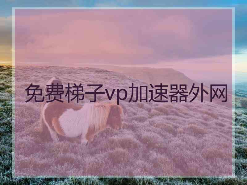 免费梯子vp加速器外网
