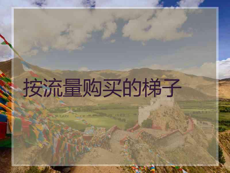 按流量购买的梯子