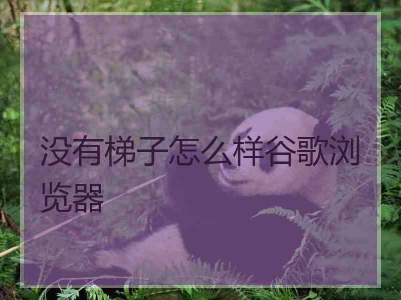 没有梯子怎么样谷歌浏览器
