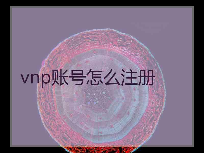 vnp账号怎么注册