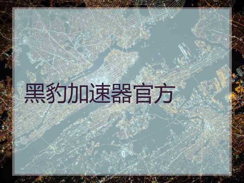 黑豹加速器官方