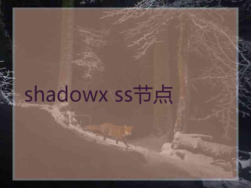 shadowx ss节点