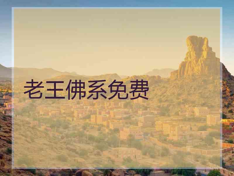 老王佛系免费