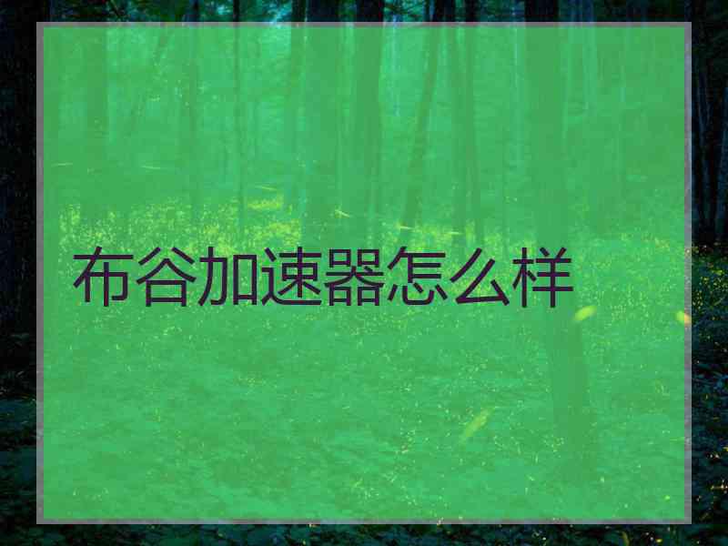布谷加速器怎么样