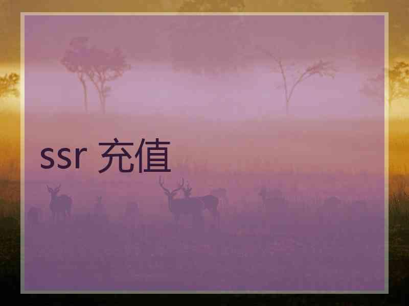 ssr 充值