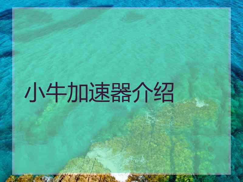 小牛加速器介绍