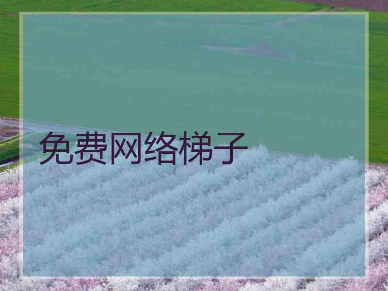 免费网络梯子