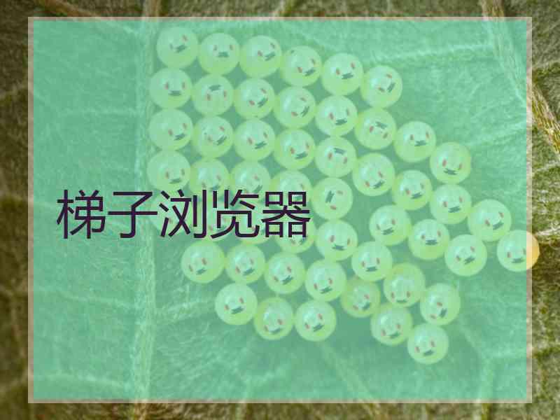 梯子浏览器