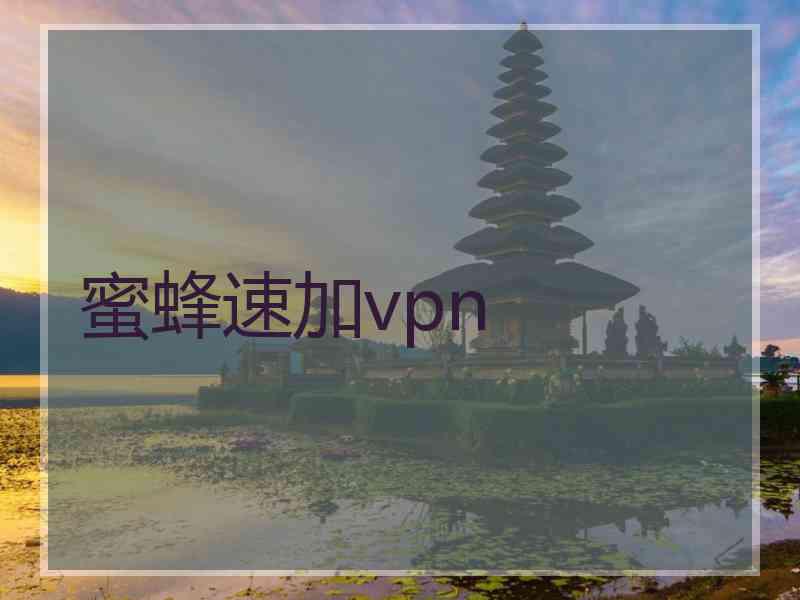 蜜蜂速加vpn
