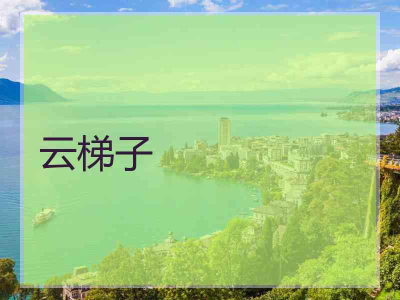 云梯子