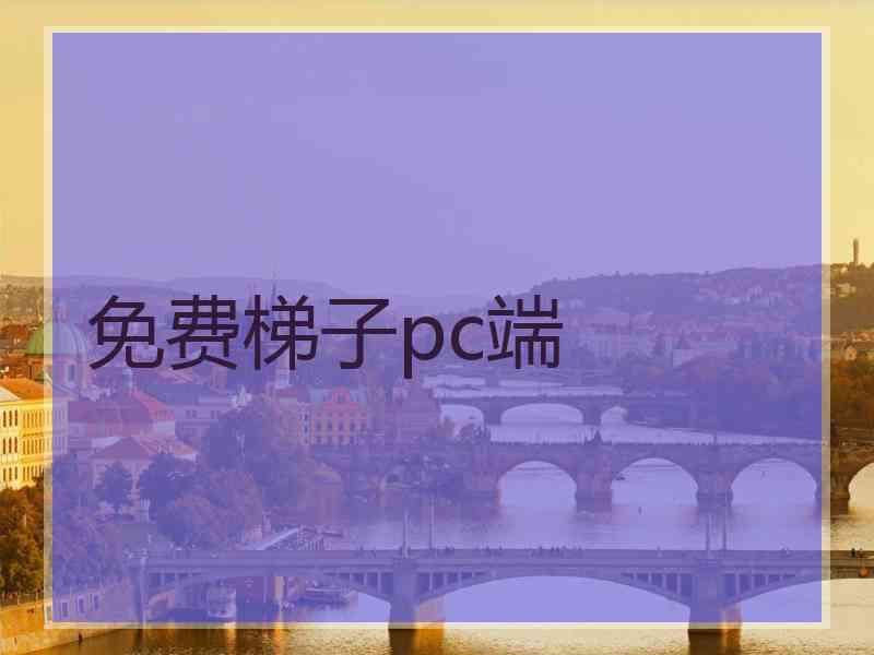 免费梯子pc端