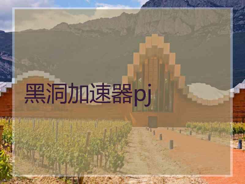 黑洞加速器pj